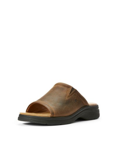 Ariat Women's Bridgeport Sandal 10027327