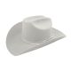 Bailey Hats Stampede 2X  W0602F