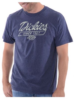 Dickies Mens Fat Tail Graphic Short Sleeve Tee DKS2457