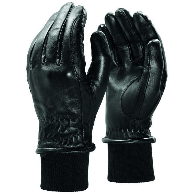 Ariat Men's Insulated Pro Grip Glove 10004371