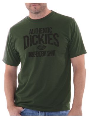 Dickies Mens Independent Graphic Short Sleeve Tee DKS2458