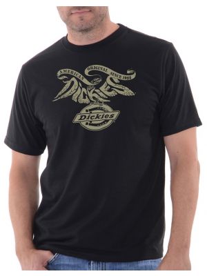 Dickies Mens Feather Letters Graphic Short Sleeve Tee DKS2461