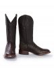 Stetson Men's Kaycee Brown Caiman Belly Cowboy Boot 12-020-1852-0201 