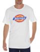 Dickies Mens Logo Graphic Short Sleeve Tee DKS460