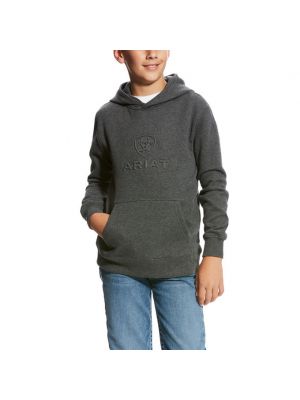 Ariat Kid's Logo Hoodie 10023602
